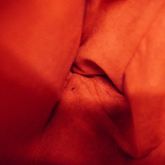 Louis Vuitton Handbag Monogram Venus M41738 Brown Cerise Ladies - Picture 8 of 16